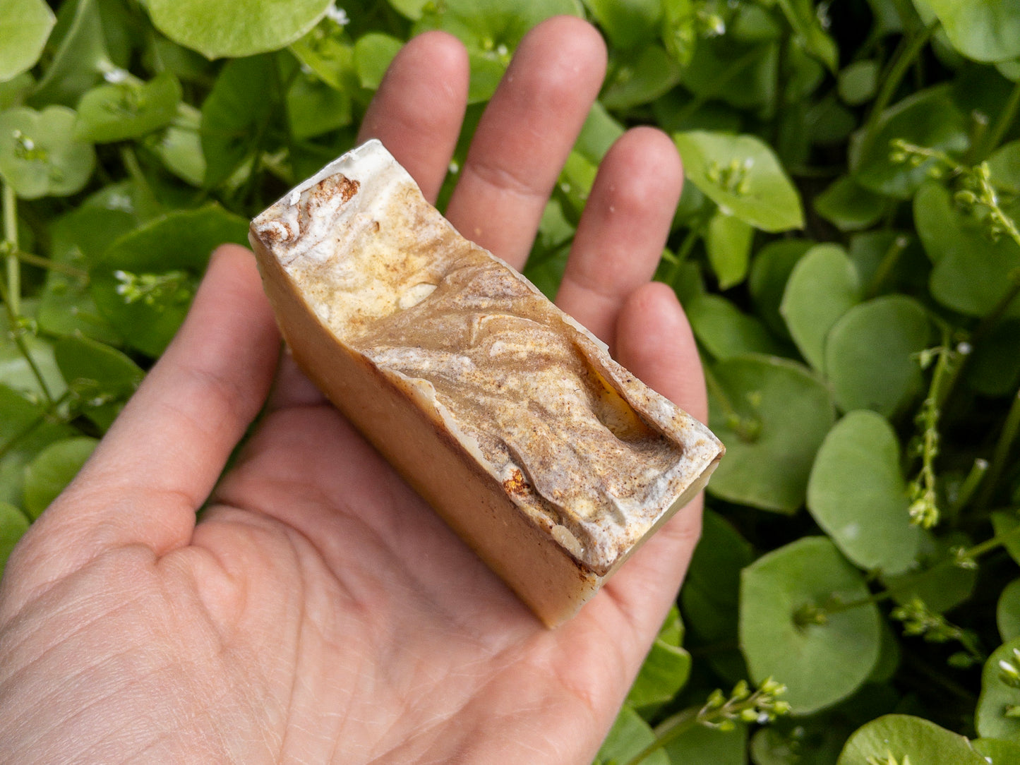 Honey Carrot Curry Soap