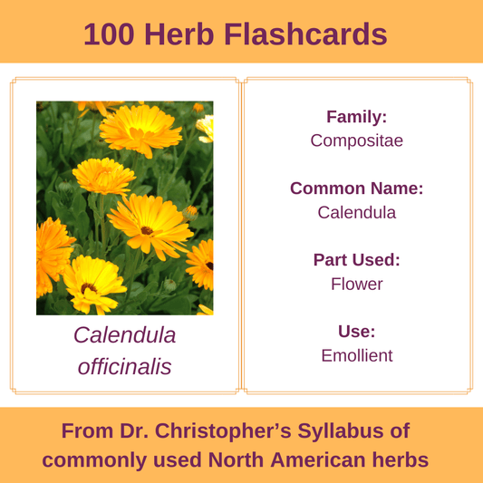 100 Commonly Used Herbs Flashcards Digital Download - Herbal Embrace