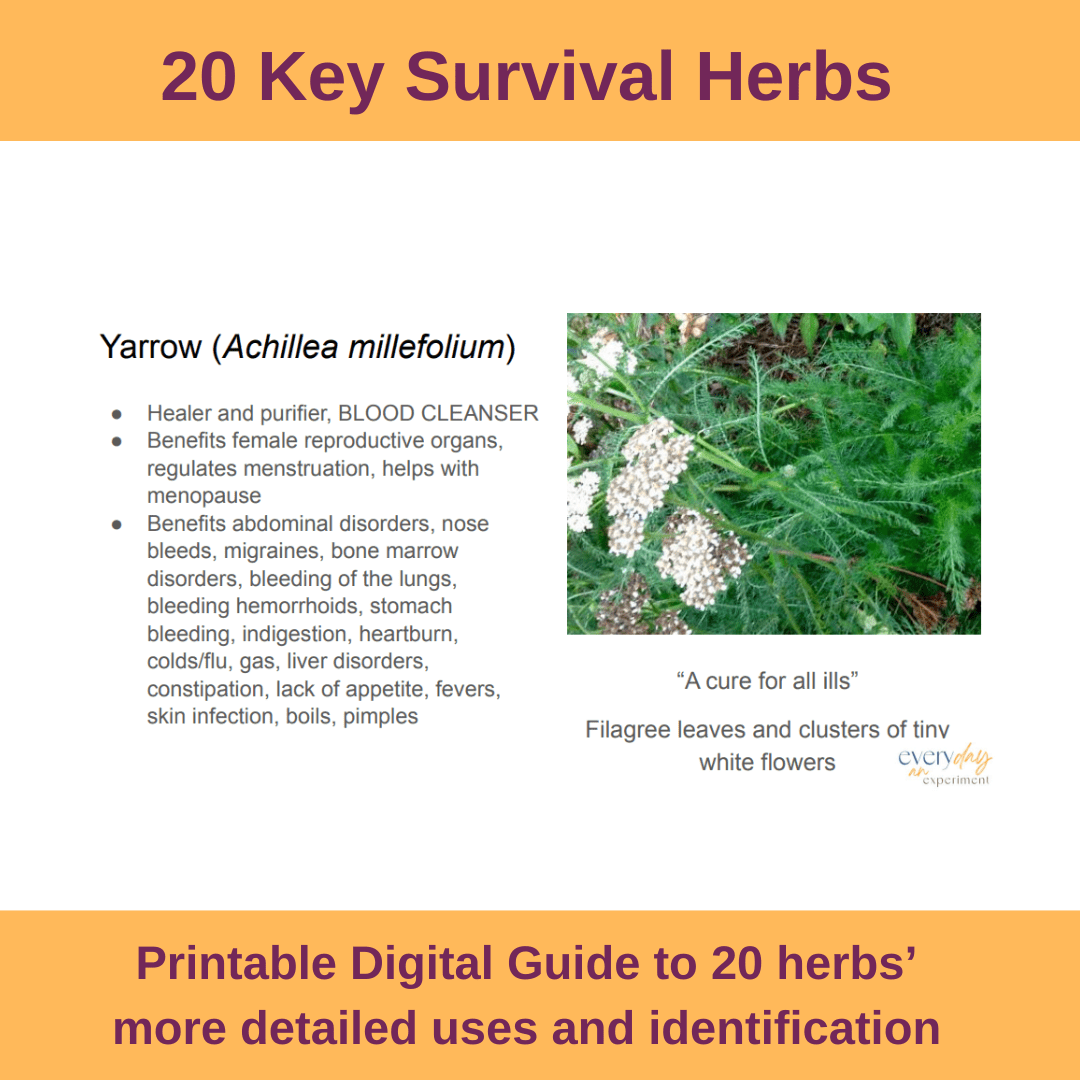 20 Key Survival Herbs Digital Download - Herbal Embrace
