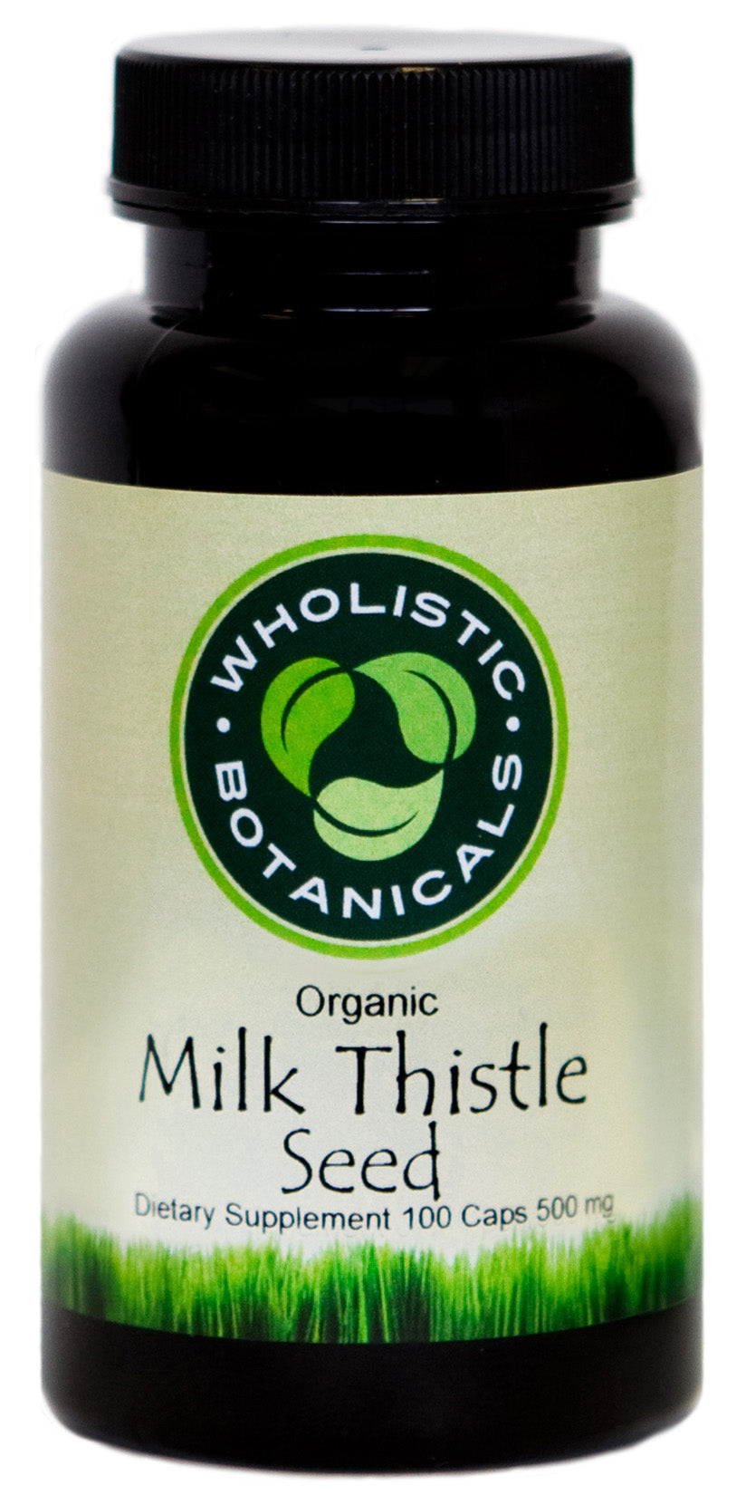 Milk Thistle Seed Capsule