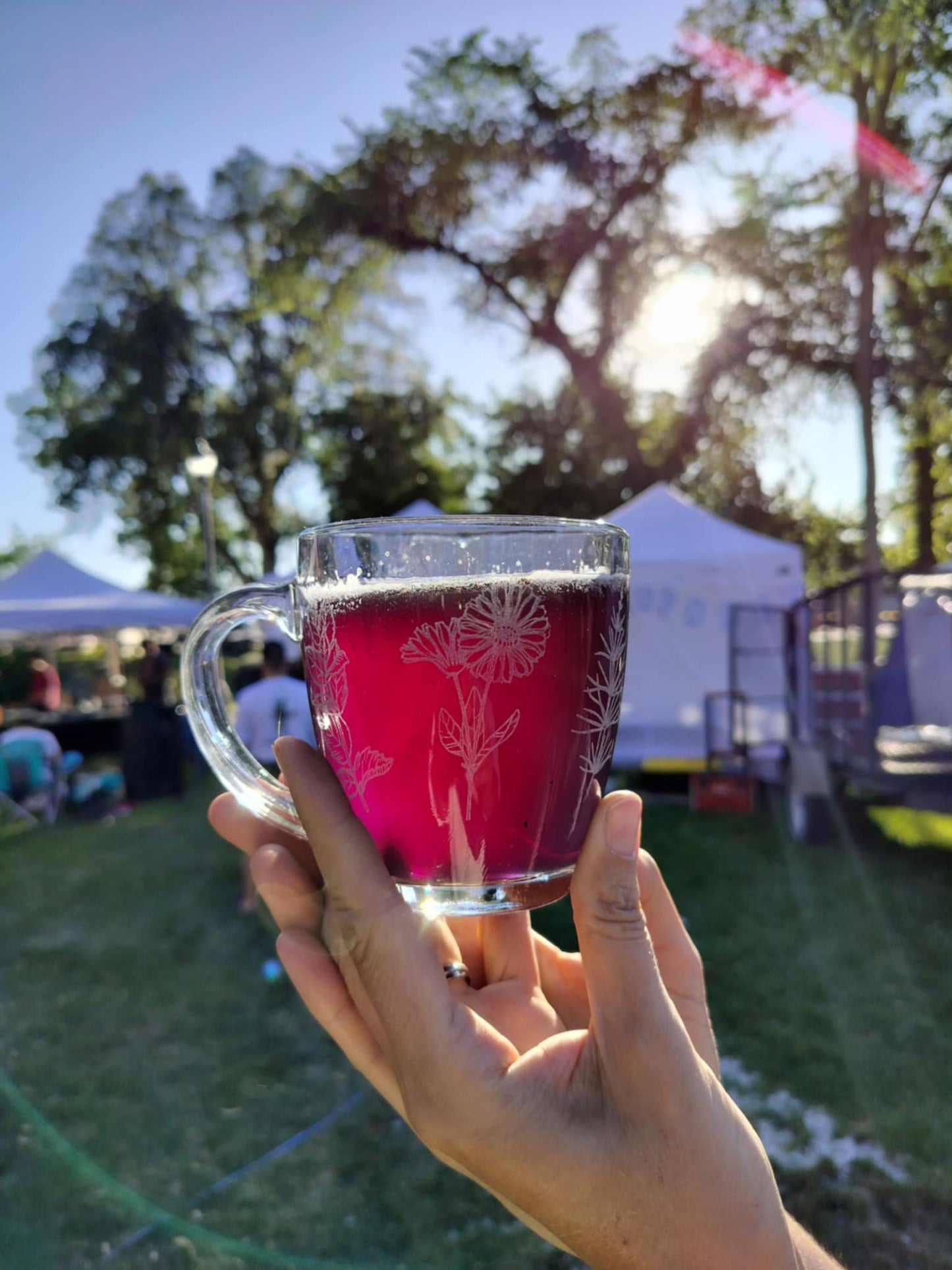 Hand holding a glass mug with a red beverage at an outdoor event. butterfly bliss herbal tea blend butterfly pea flower tea blue tea lemon verbena tea lavender tea tulsi tea holy basil tea nervous system tea postpartum tea nursing-friendly tea kid-friendly tea child-safe tea color-changing tea