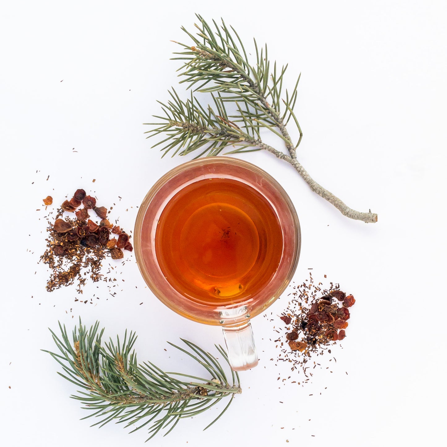 Pine Forest Tea - Herbal Loose-Leaf Tea Blend