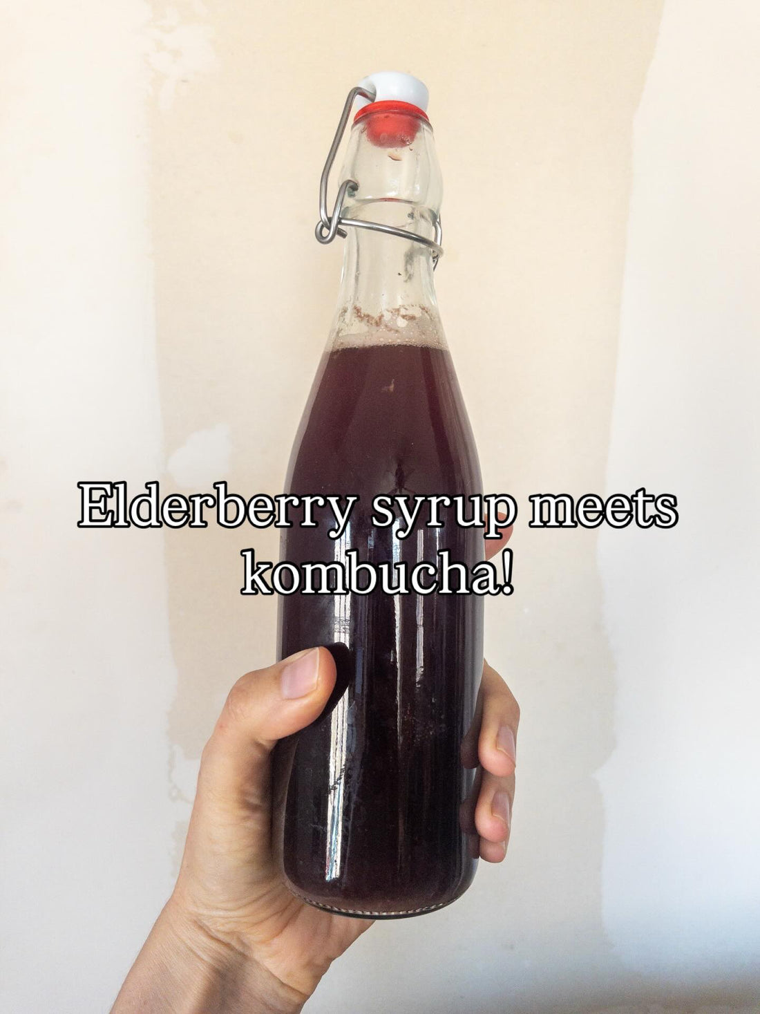 Elderberry Syrup Meets Kombucha!