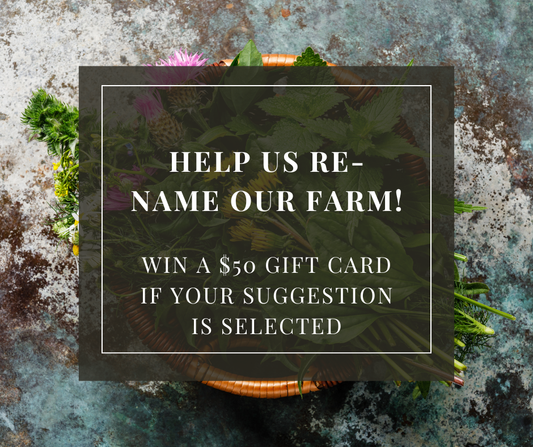 Be Part of Our Next Chapter