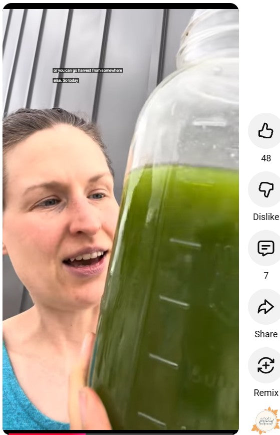 It's Green Drink Season!
