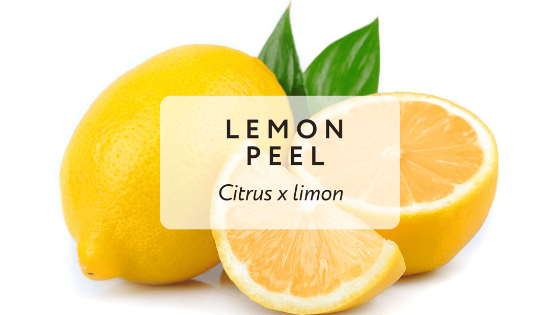 Lemon Peel - More Than Just a Nice Flavor - Herbal Embrace