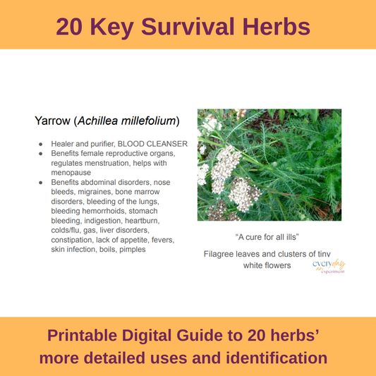 20 Key Survival Herbs Digital Download