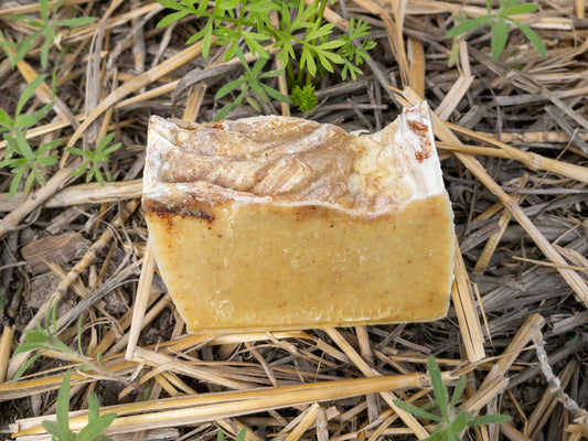 Honey Carrot Curry Soap