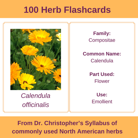 100 Commonly Used Herbs Flashcards Digital Download