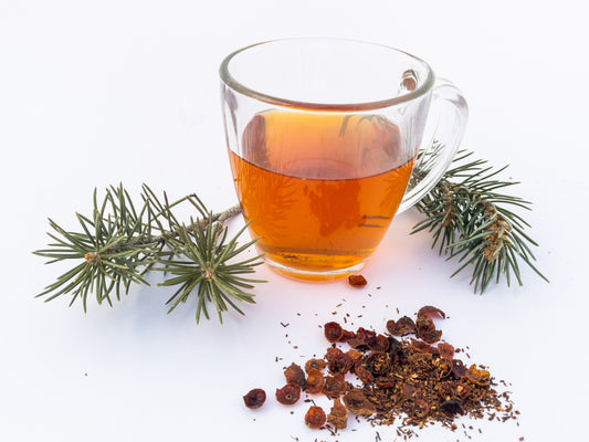 Pine Forest Tea - Herbal Loose-Leaf Tea Blend